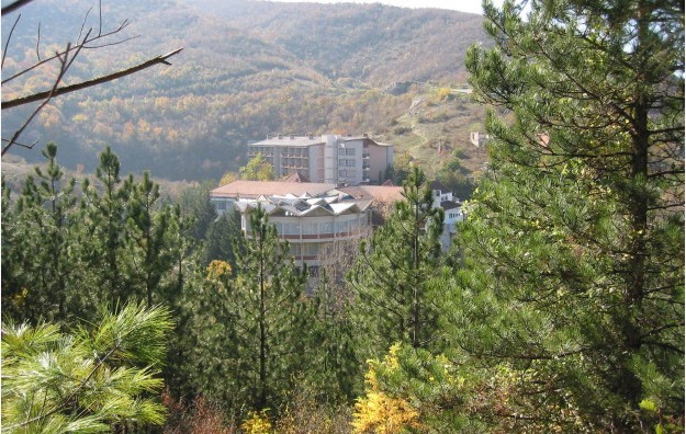 SOKO BANJA